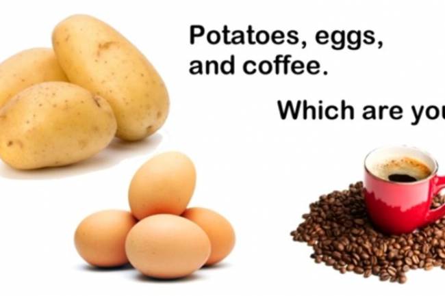 Potatoes, Eggs, and Coffee Beans