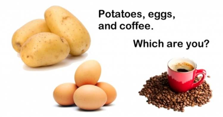 Potatoes, Eggs, and Coffee Beans