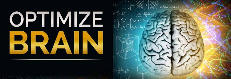 Tips to Enhance and Optimize Brain to Learn Things Faster & Improve Memory in Exams